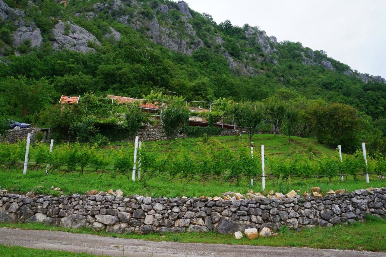 Апартаменты Old House Kontic Никшич-21