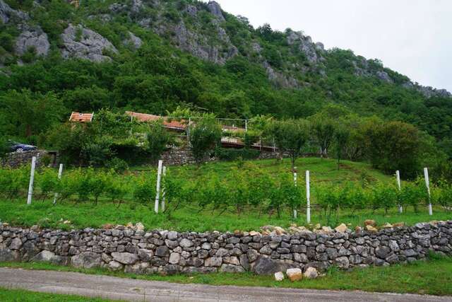 Апартаменты Old House Kontic Никшич-20
